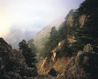 Highlight for Album: Lebanon Photos