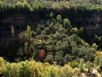 chouf
