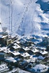 faraya