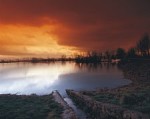 taanayel lake 1