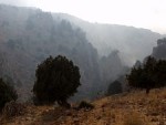 wadijhannam